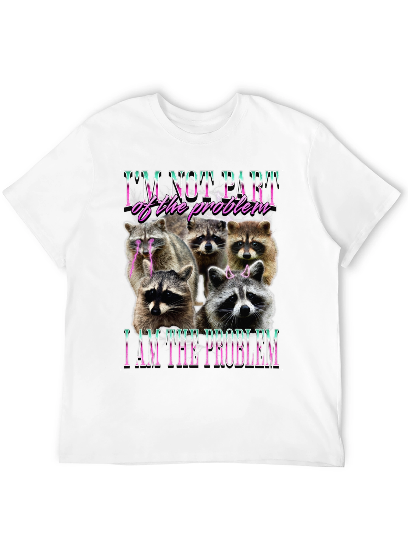 Raccoon I am the Problem Graphic T-Shirt