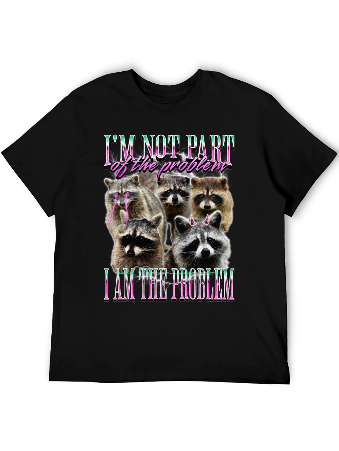 Raccoon I am the Problem Graphic T-Shirt