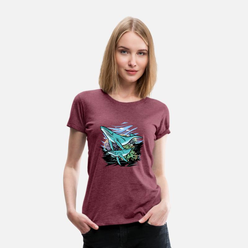 Narwhal Beluga Whale Orcas Whale Shar