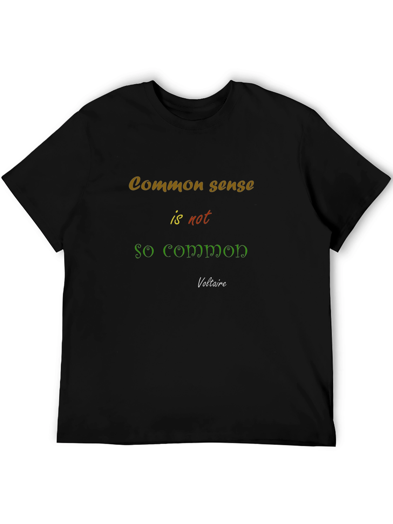 Common Sense T-Shirt - Voltaire Quote