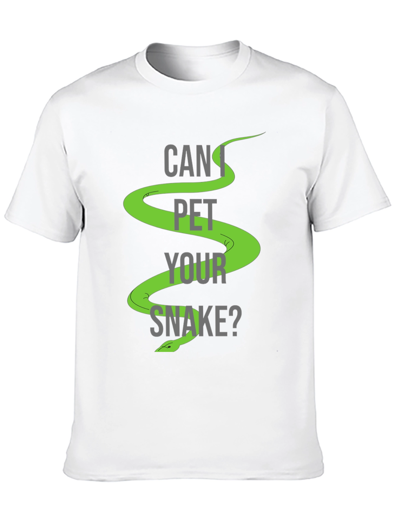Can I Pet Your Snake? Graphic T-Shirt