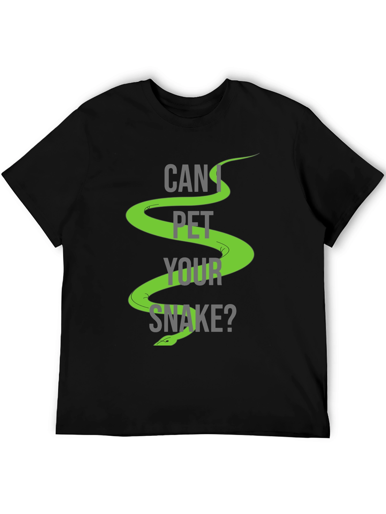 Can I Pet Your Snake? Graphic T-Shirt
