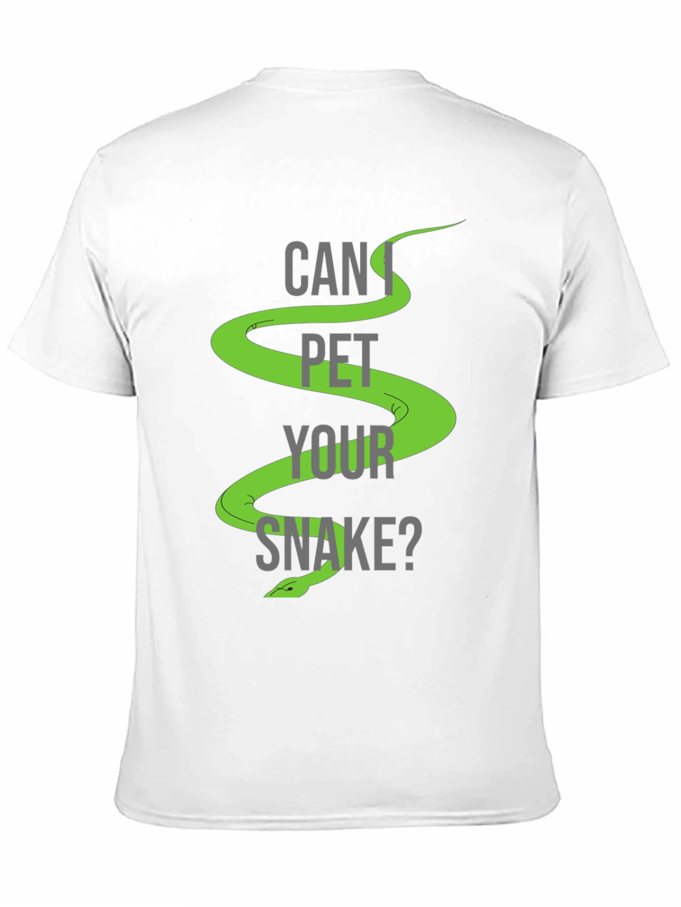 Can I Pet Your Snake? Graphic T-Shirt