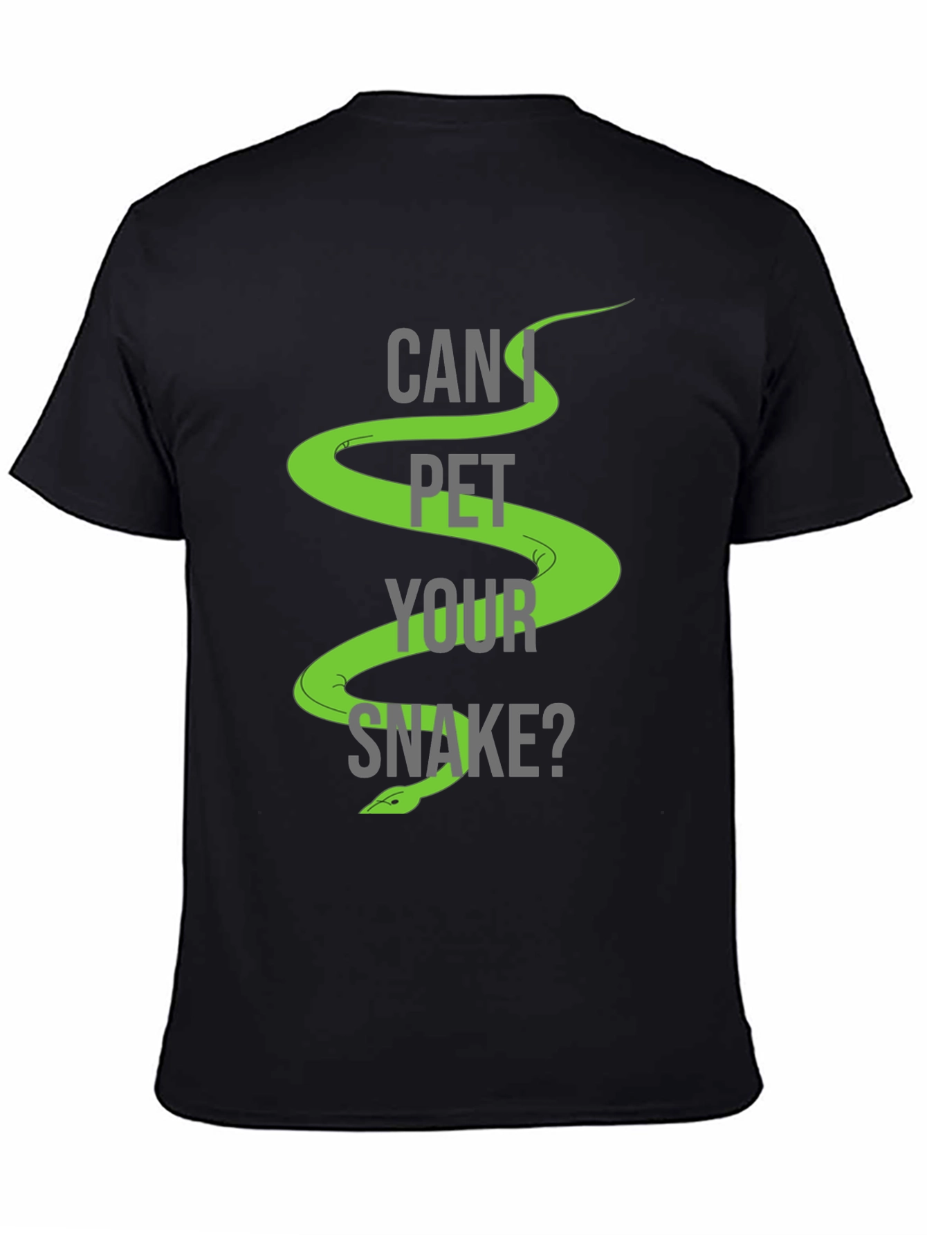 Can I Pet Your Snake? Graphic T-Shirt