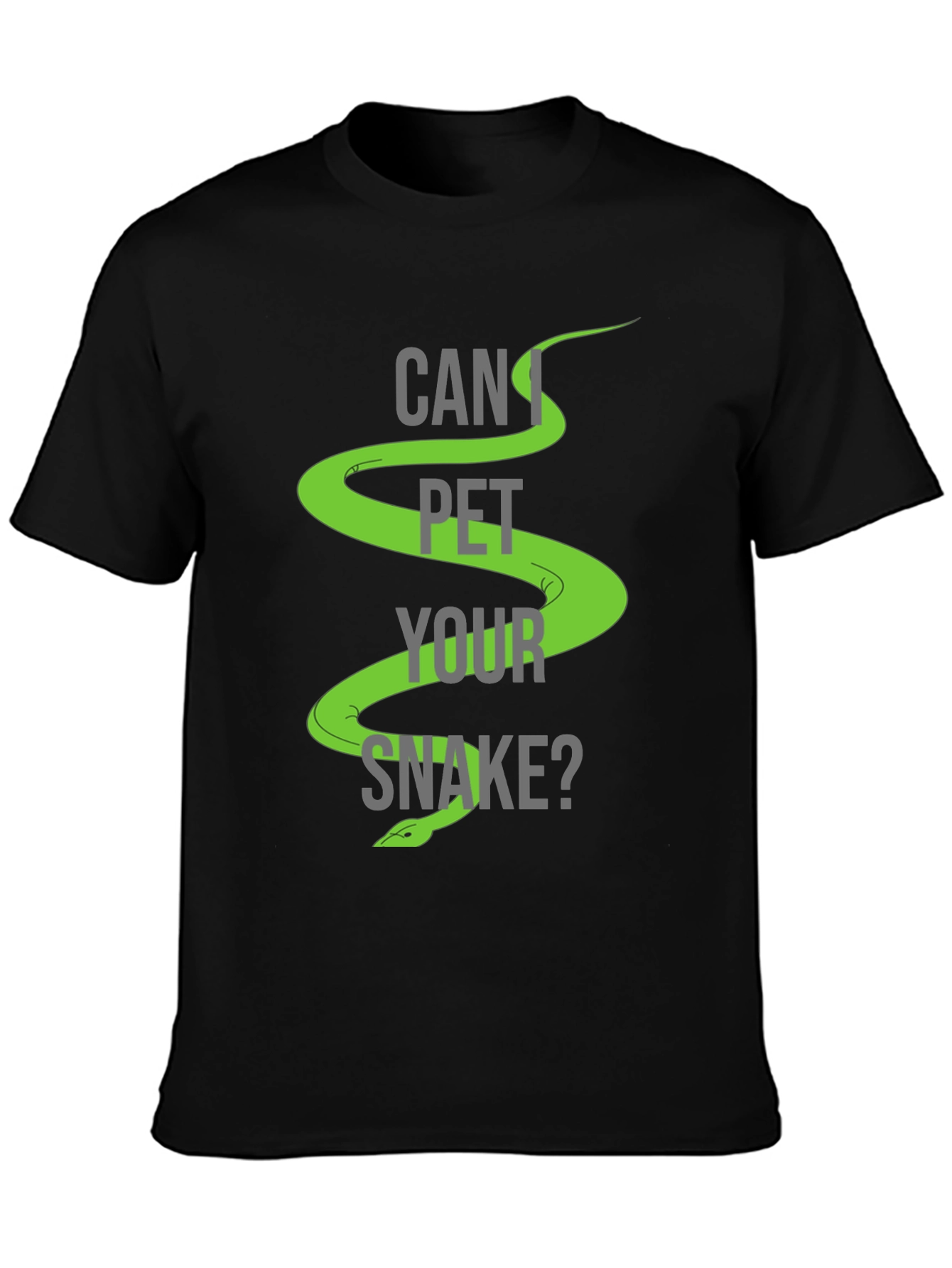 Can I Pet Your Snake? Graphic T-Shirt