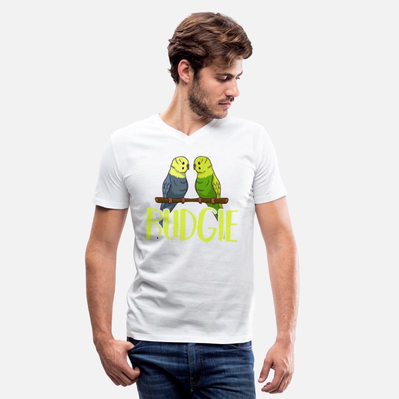Parakeet Bird Budgie Cage Training Care