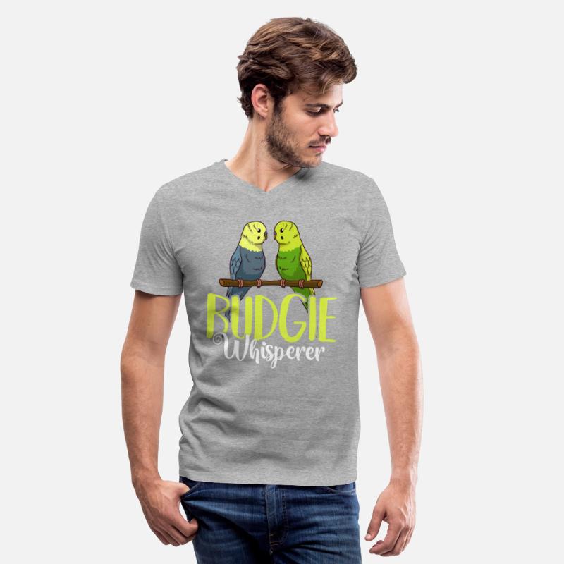 Parakeet Bird Budgie Cage Training Care