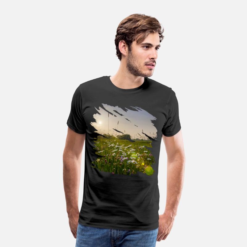 Picturesque flower meadow in sunlight