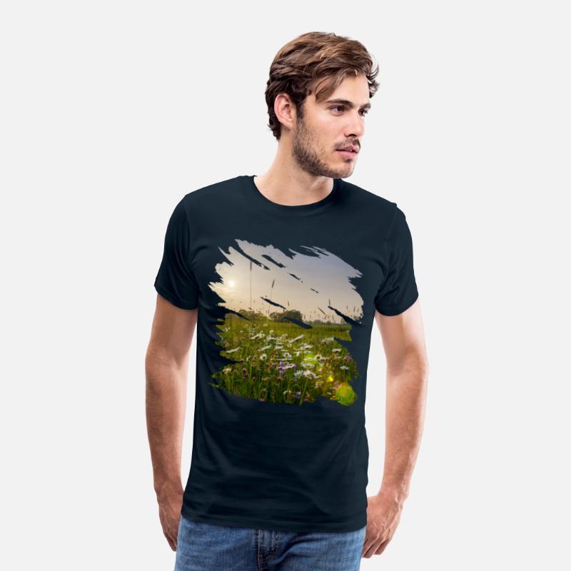 Picturesque flower meadow in sunlight