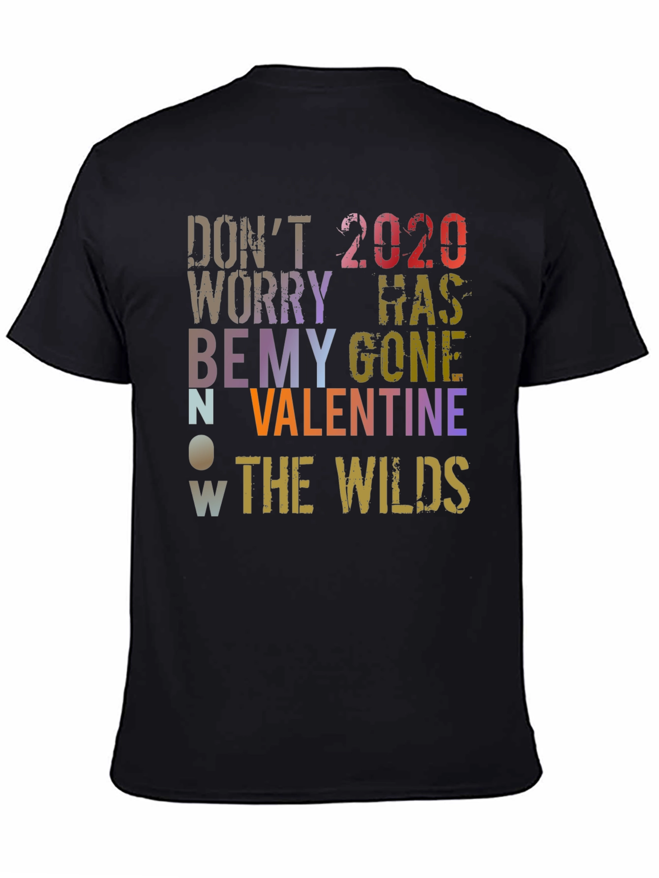 Dont Worry 2020 Has Gone Valentines Day T-Shirt