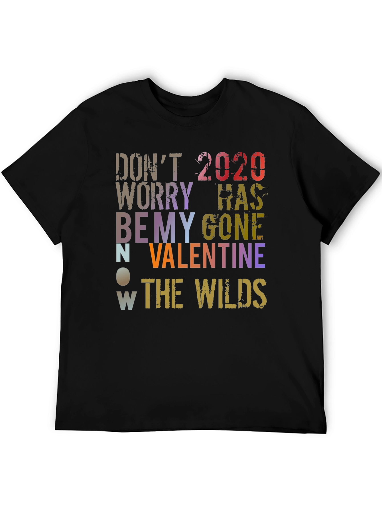 Dont Worry 2020 Has Gone Valentines Day T-Shirt