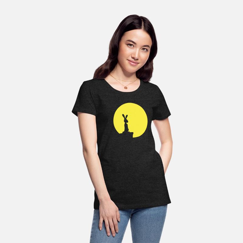 Rabbit Moon Cliff Mountain Night Round Sun Looks