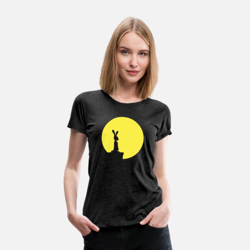 Rabbit Moon Cliff Mountain Night Round Sun Looks