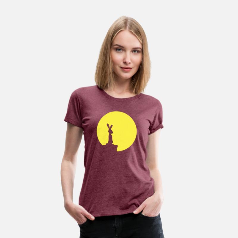 Rabbit Moon Cliff Mountain Night Round Sun Looks