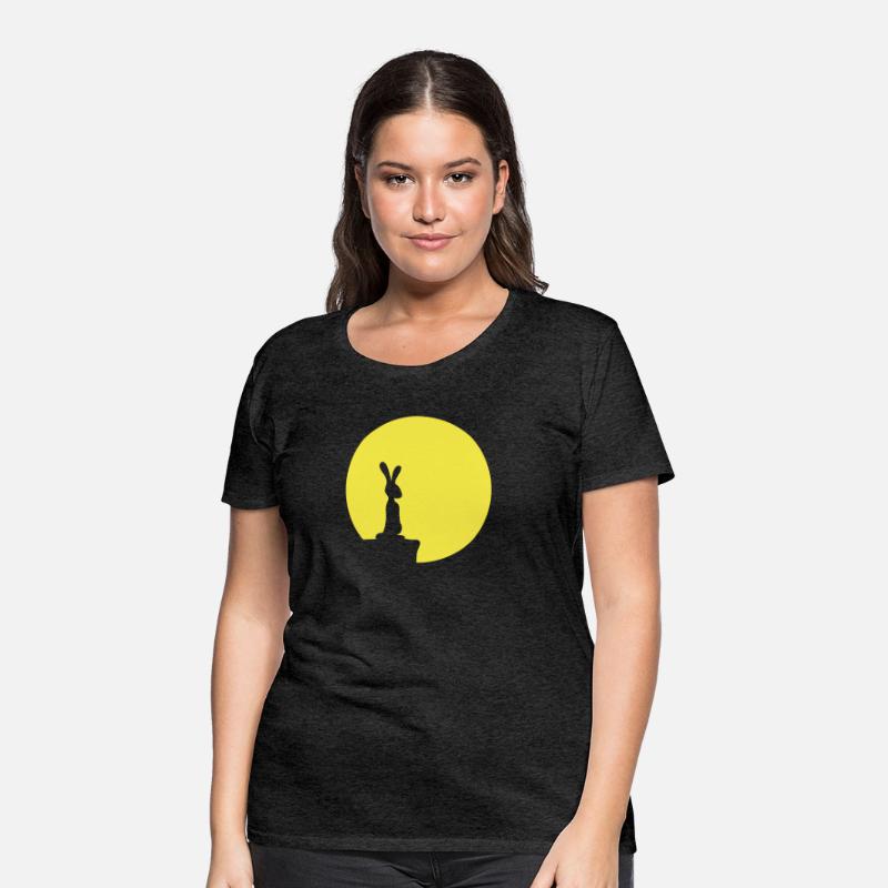 Rabbit Moon Cliff Mountain Night Round Sun Looks