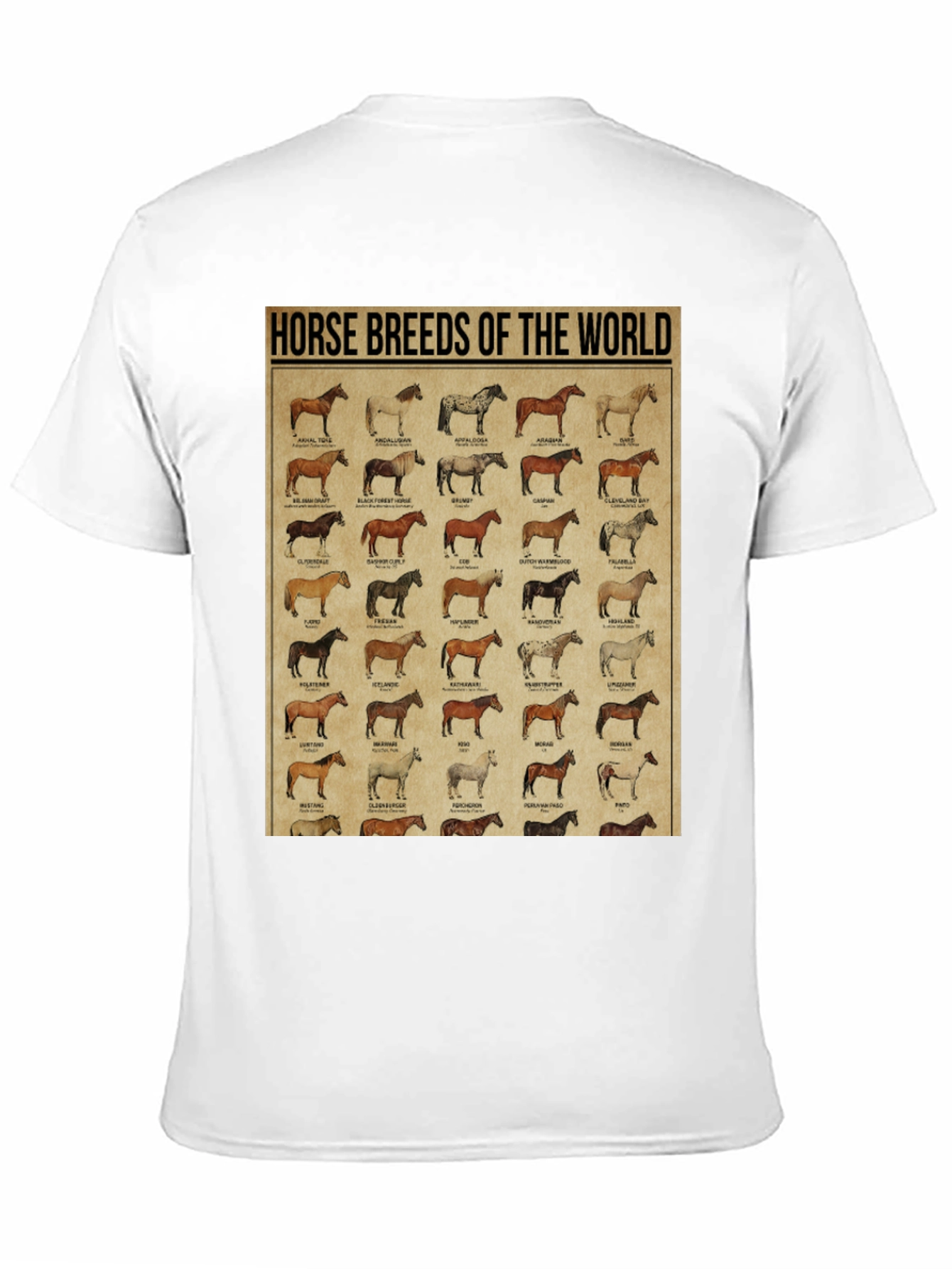 Horse Breeds of the World Graphic Tee