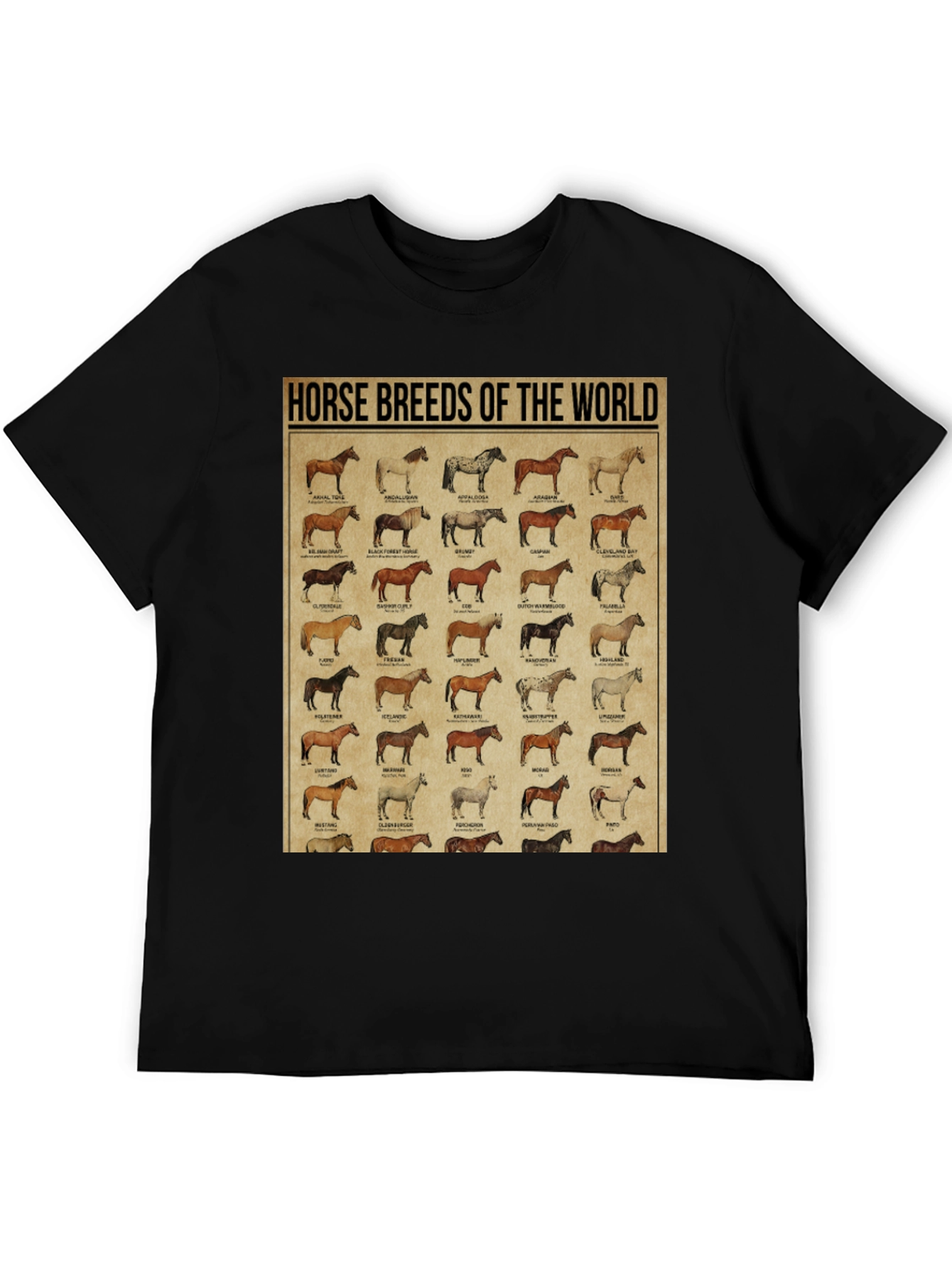 Horse Breeds of the World Graphic Tee