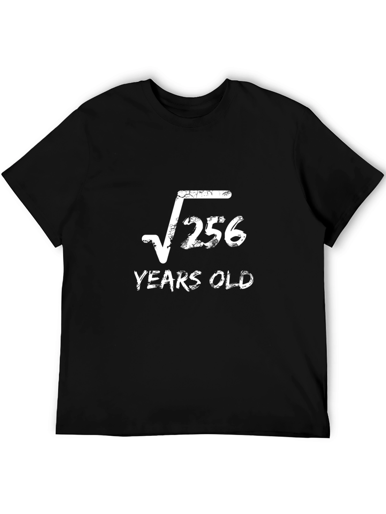 Funny 16th Birthday T-Shirt - Root 256 Years Old