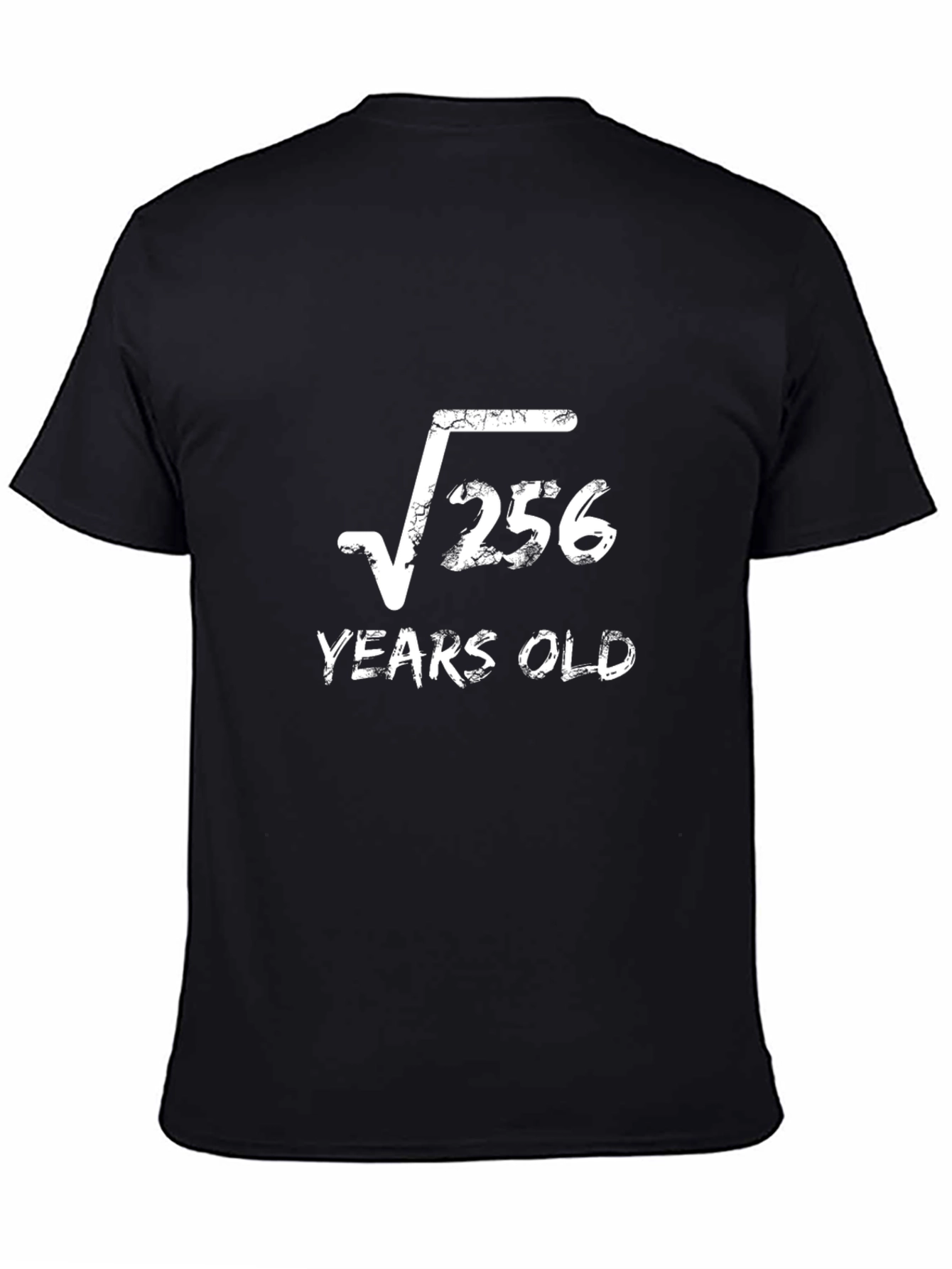 Funny 16th Birthday T-Shirt - Root 256 Years Old