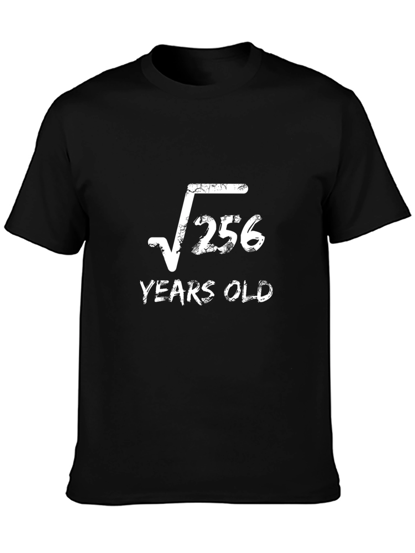 Funny 16th Birthday T-Shirt - Root 256 Years Old