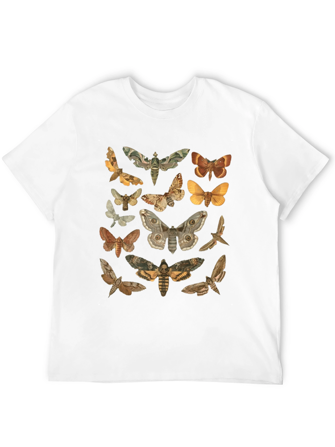 Moth Print Black T-Shirt - Stylish Nature Graphic Tee