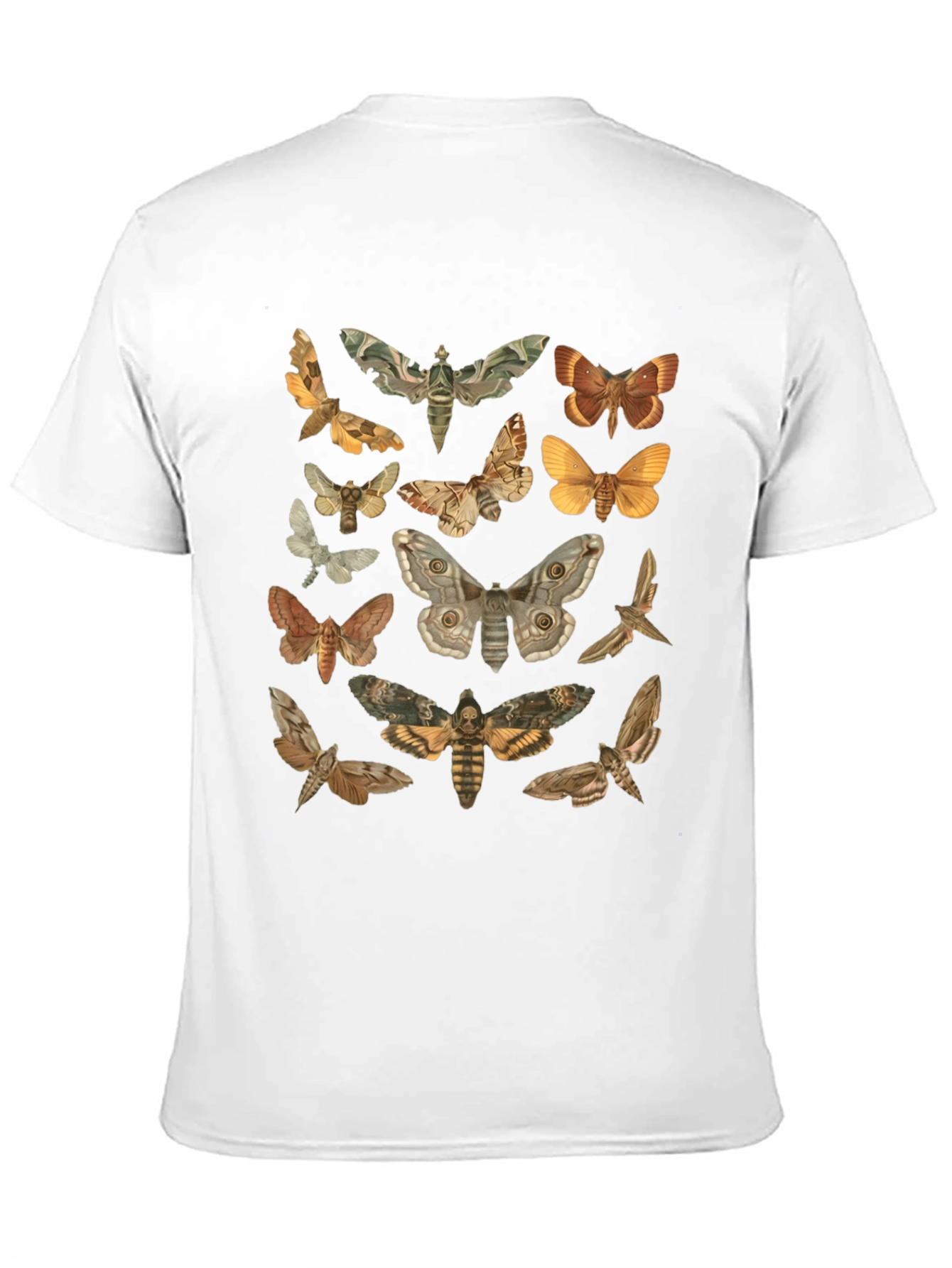 Moth Print Black T-Shirt - Stylish Nature Graphic Tee