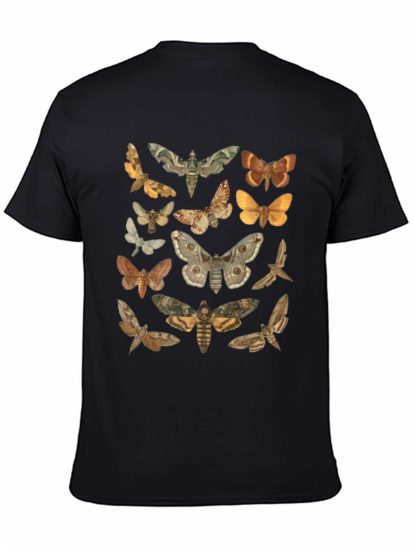 Moth Print Black T-Shirt - Stylish Nature Graphic Tee