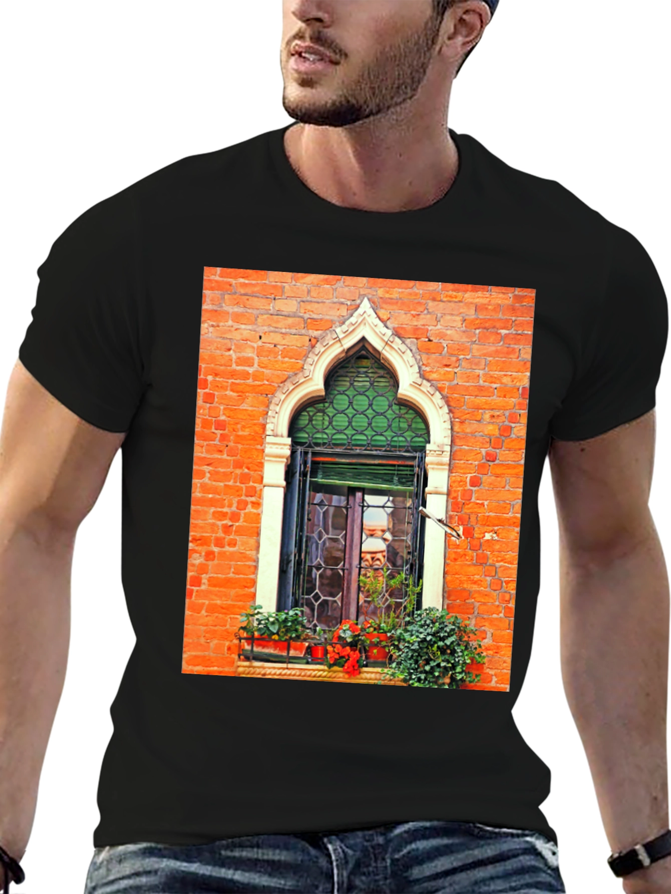 Venetian Window Graphic Tee - Unique Italian Architecture Shirt