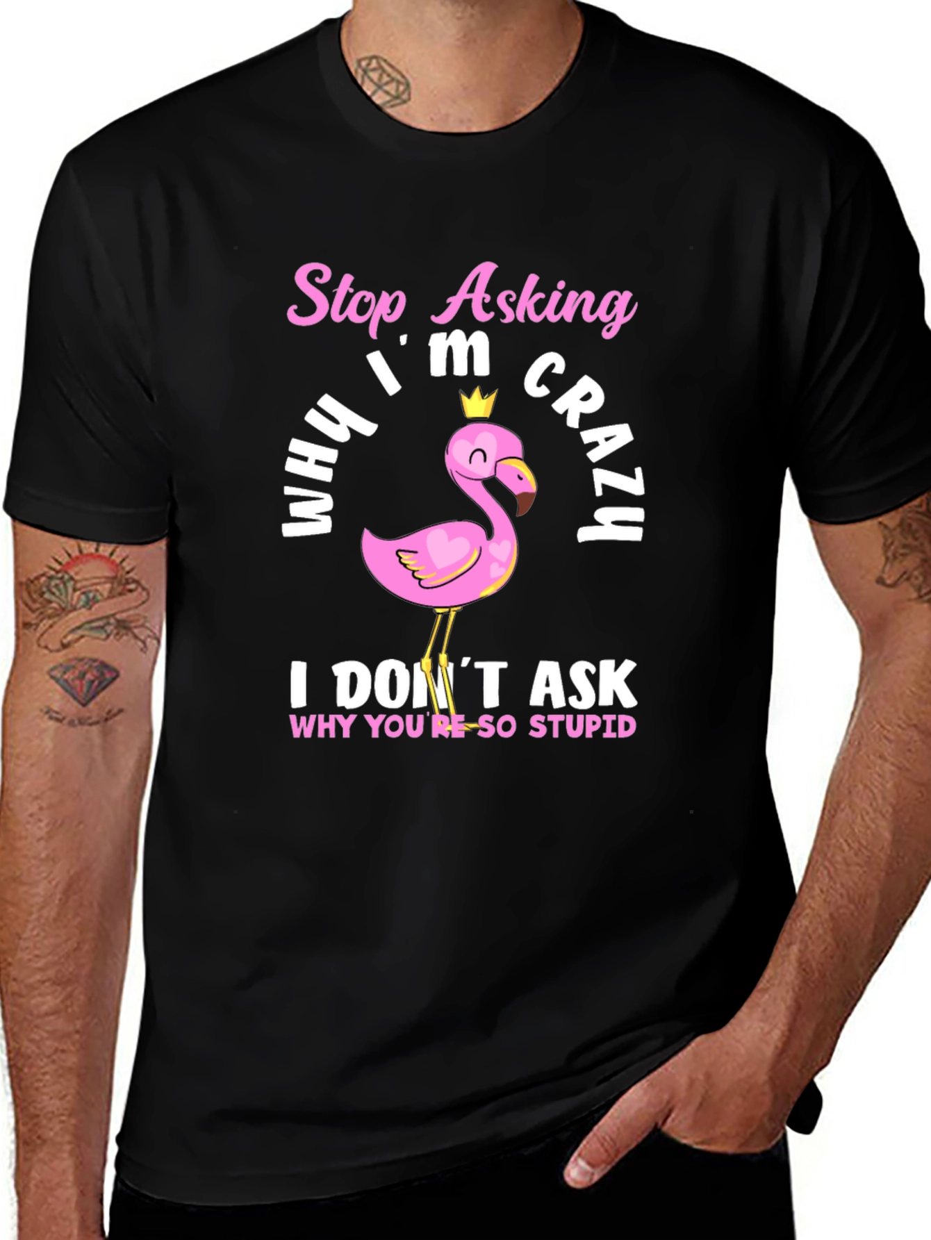 Funny Flamingo T-Shirt - Stop Asking Why Im Crazy