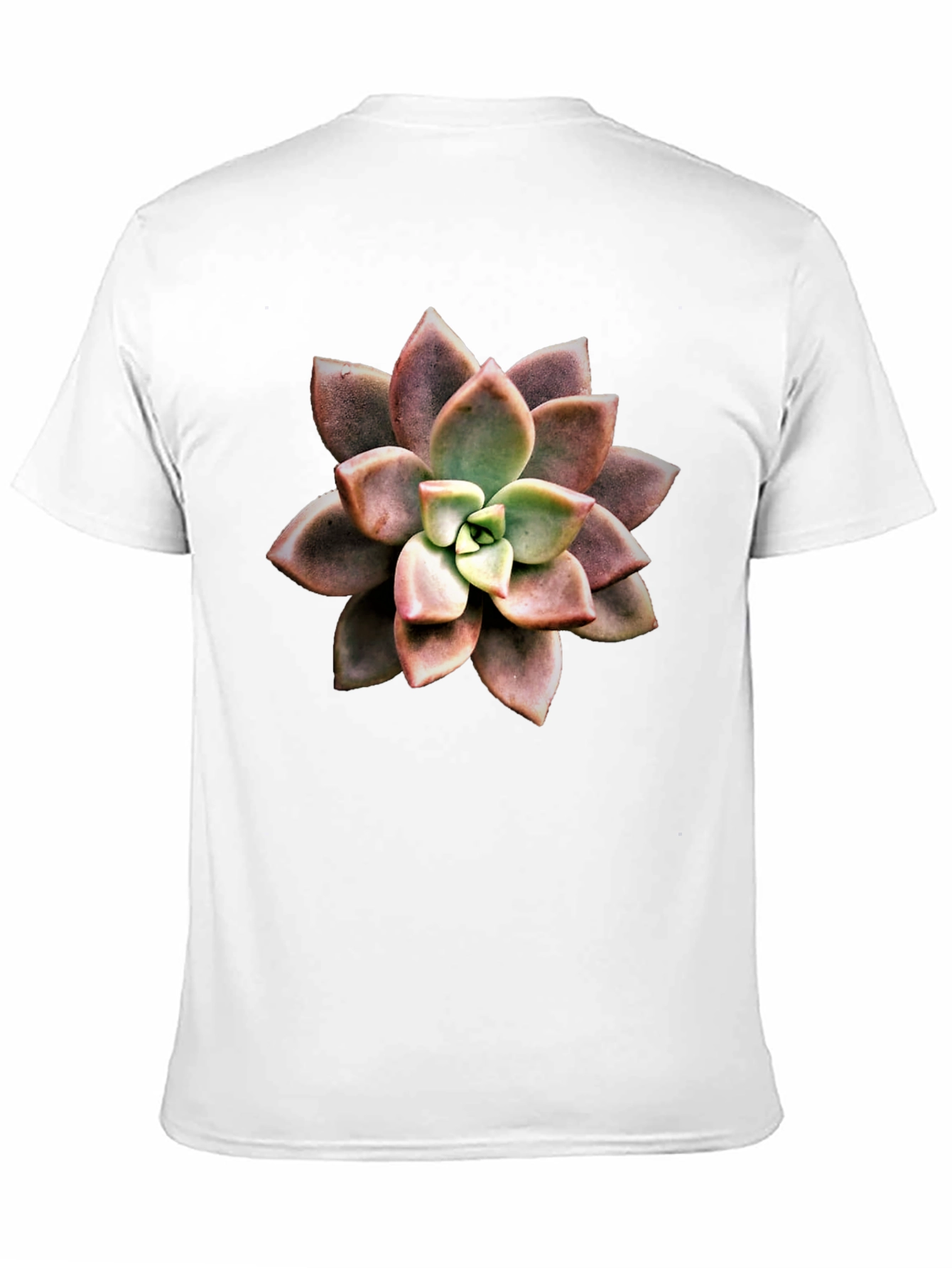Succulent Flower Graphic Tee - Stylish Plant Lovers Shirt