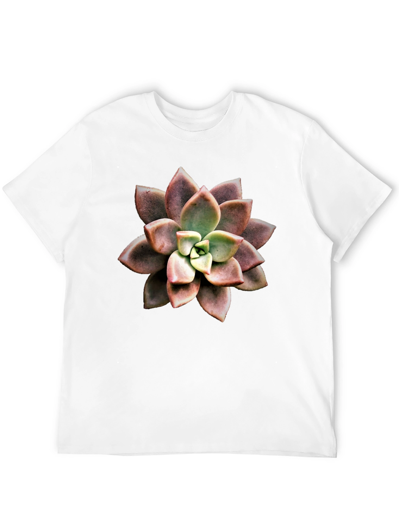 Succulent Flower Graphic Tee - Stylish Plant Lovers Shirt