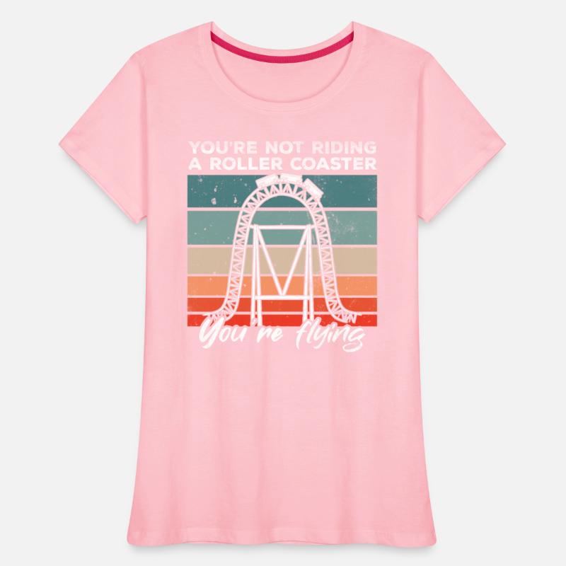 Vintage Roller Coaster Like Flying Amusement Park