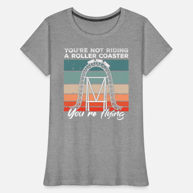 Vintage Roller Coaster Like Flying Amusement Park