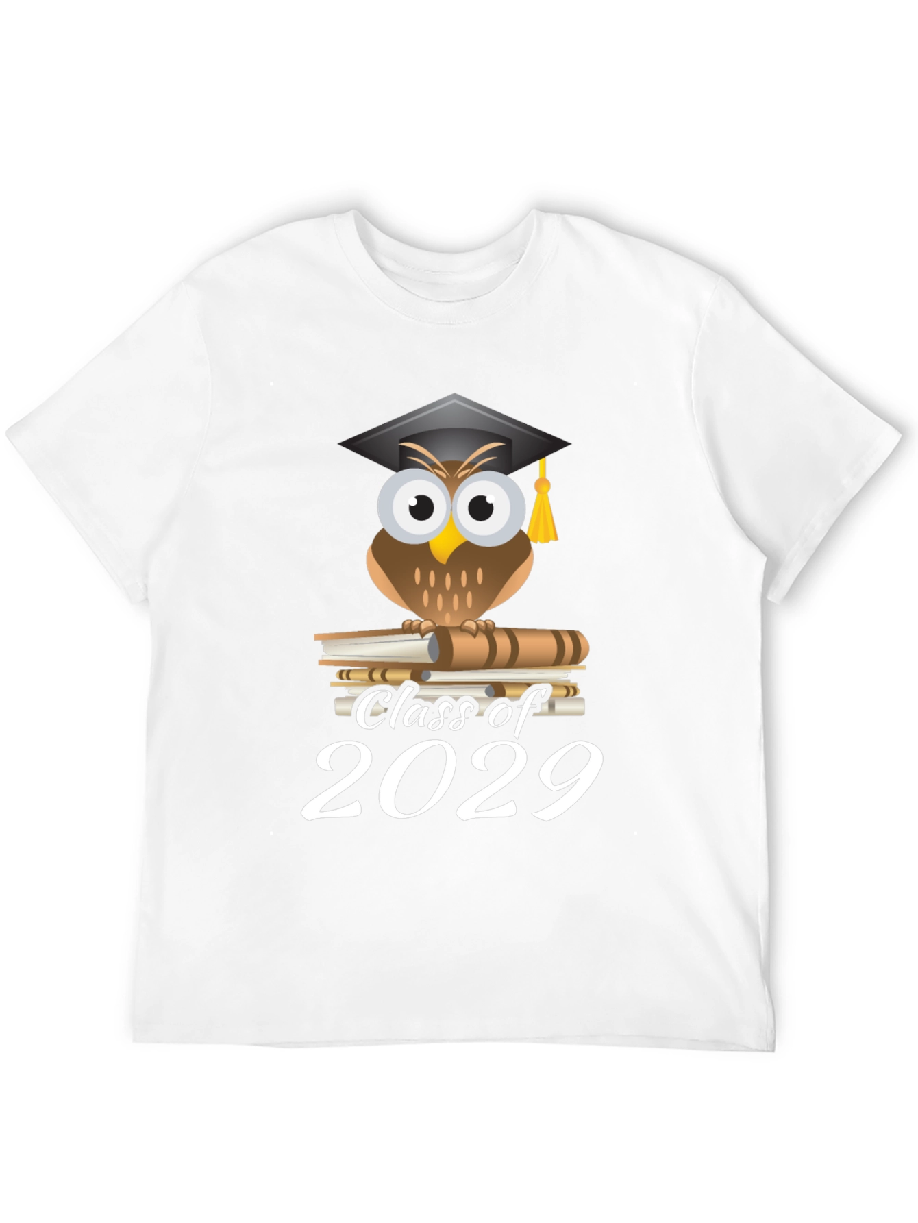 Class of 2029 Owl Graduation T-Shirt