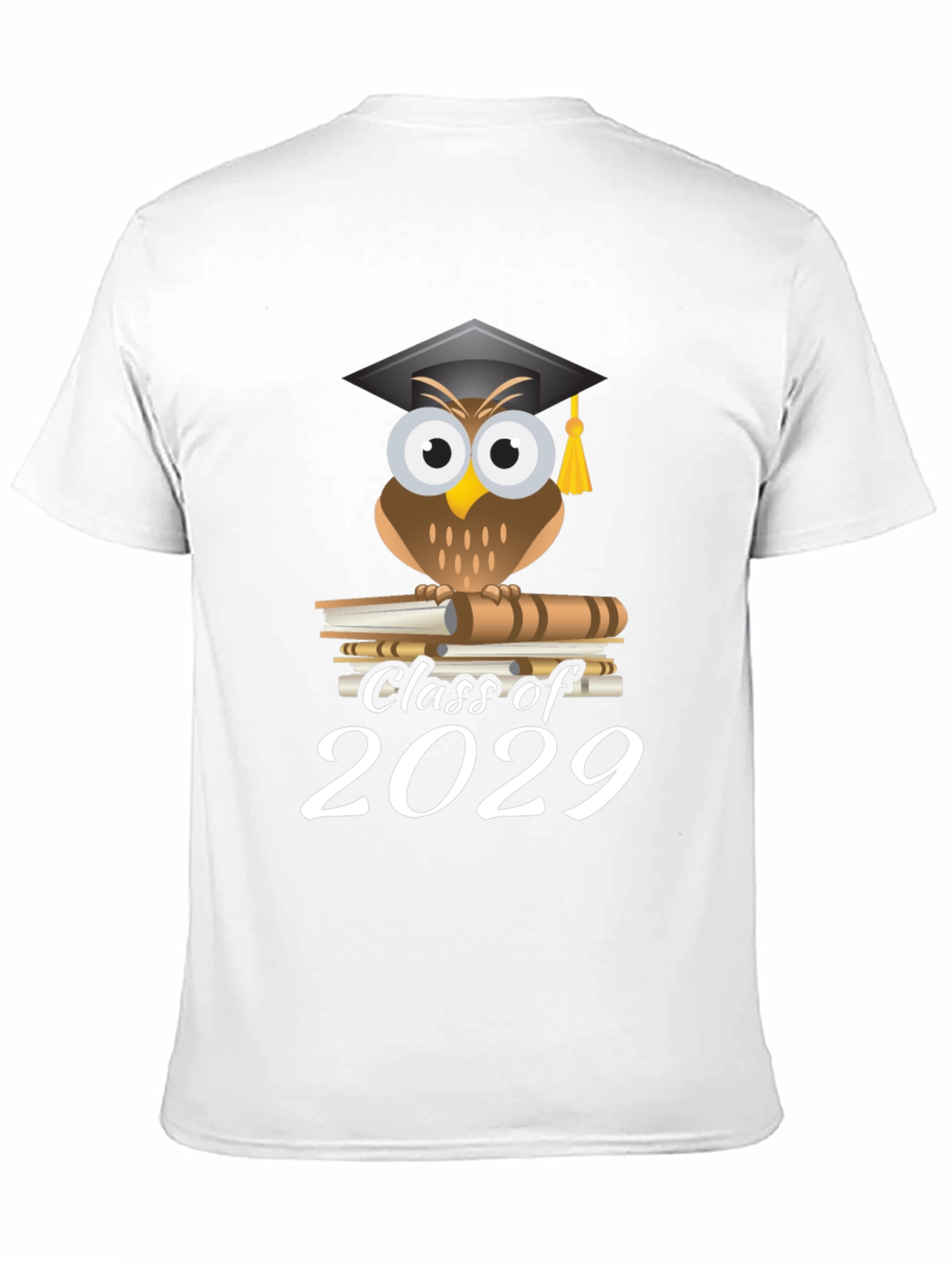 Class of 2029 Owl Graduation T-Shirt