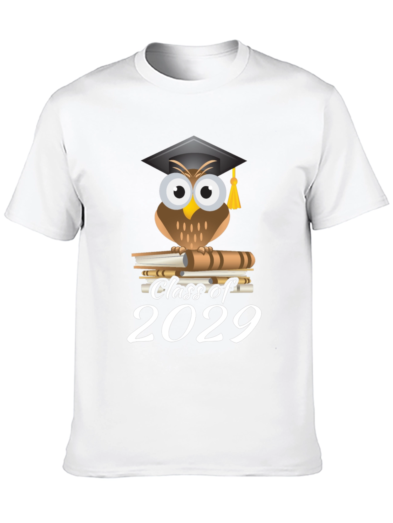 Class of 2029 Owl Graduation T-Shirt