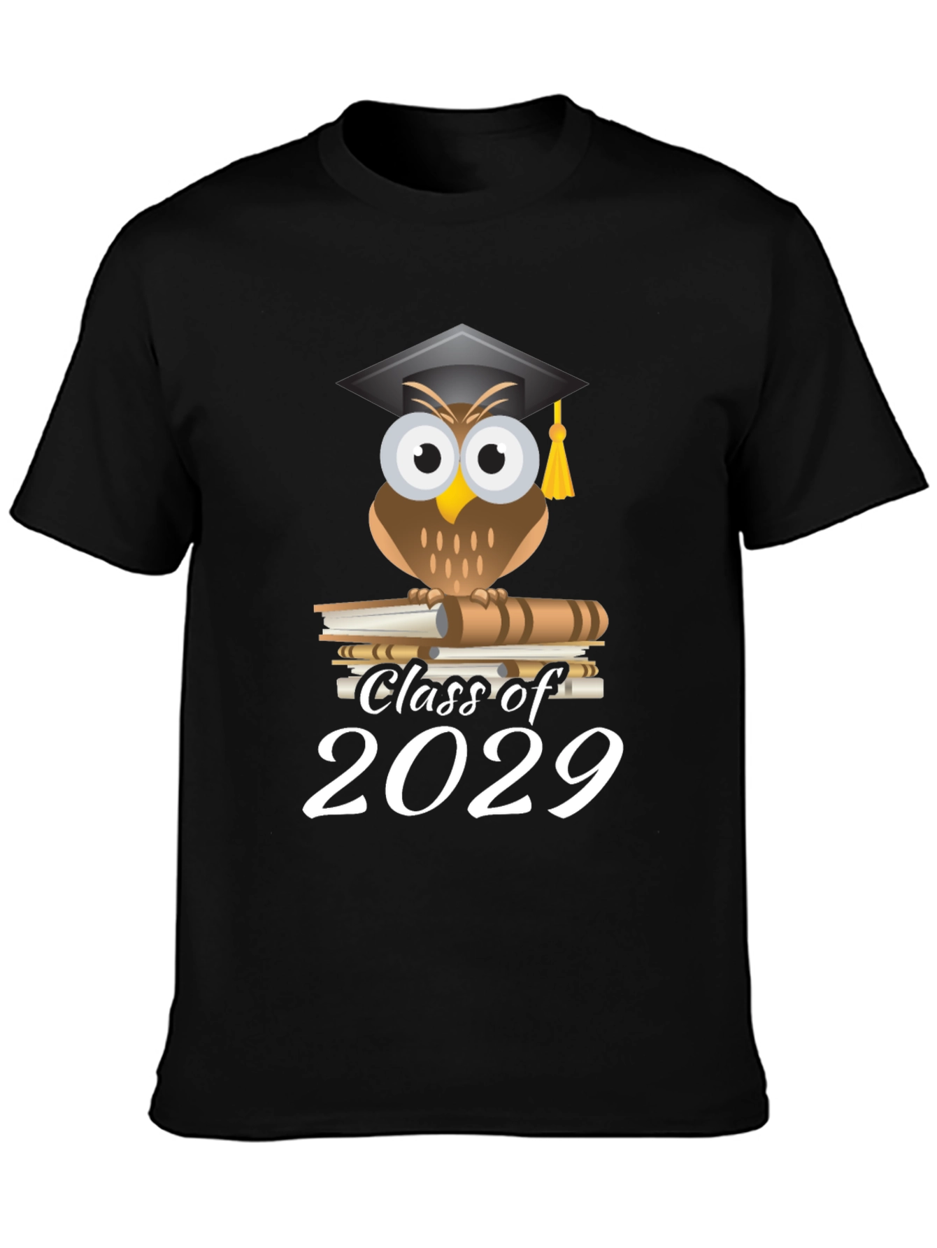 Class of 2029 Owl Graduation T-Shirt