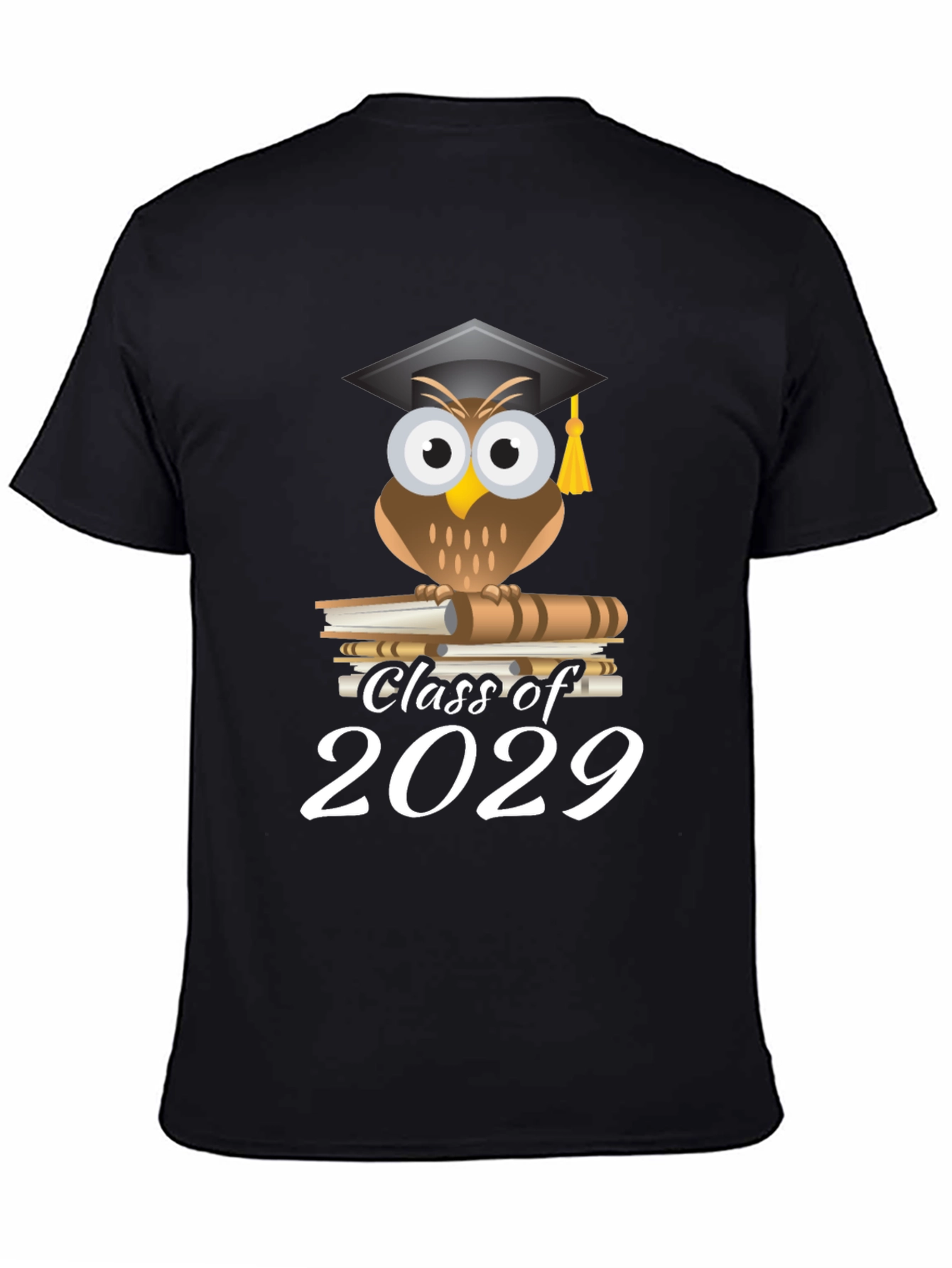 Class of 2029 Owl Graduation T-Shirt