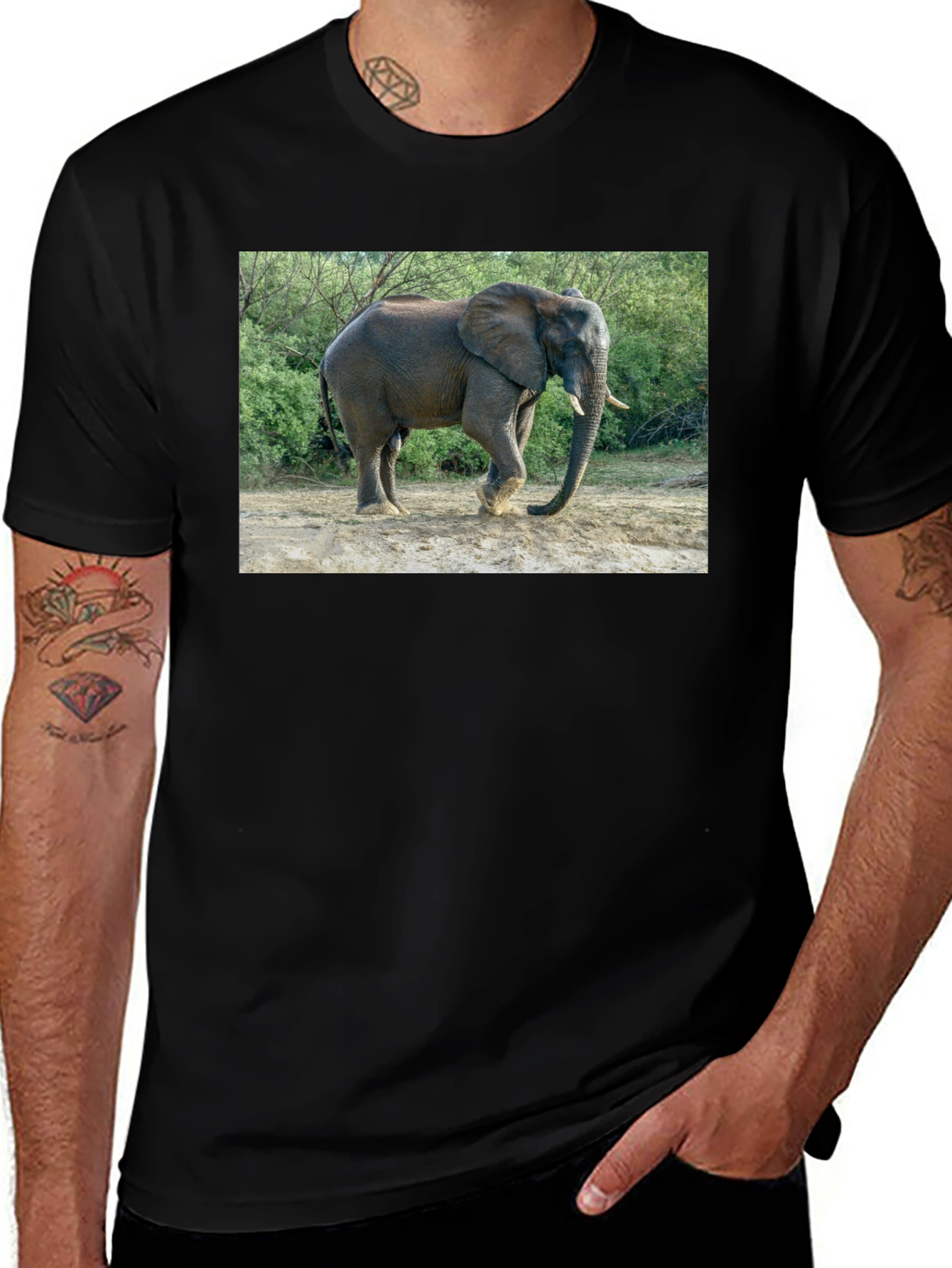 Elephant Graphic Mens Black T-Shirt