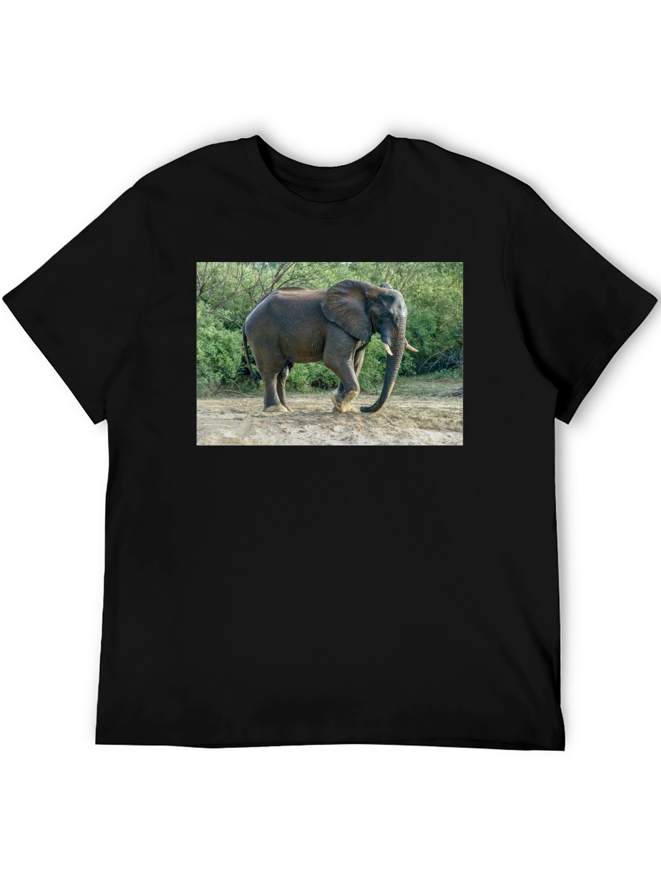 Elephant Graphic Mens Black T-Shirt