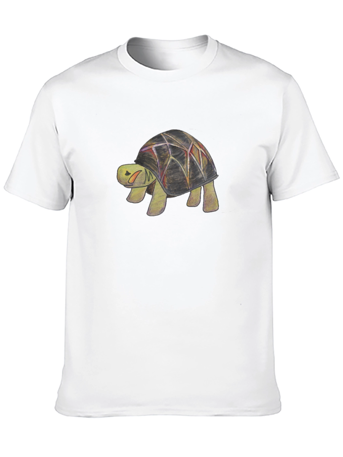 Turtle Graphic Print Black T-Shirt